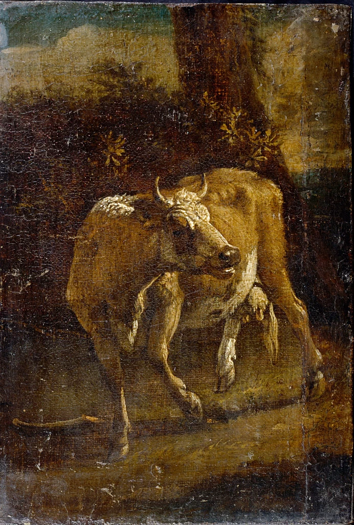 Una mucca - Dulwich Picture Gallery, Londra